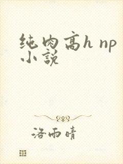 纯肉高h np小说