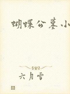 蝴蝶公墓小说封面