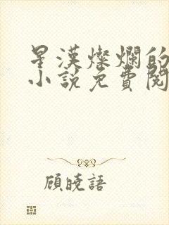 星汉灿烂的原著小说免费阅读