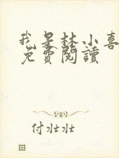 我是林小喜全文免费阅读封面
