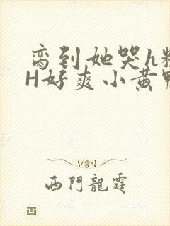脔到她哭h粗话H好爽小黄鸭视频