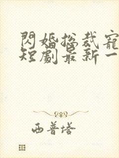 闪婚总裁宠上天短剧最新一集