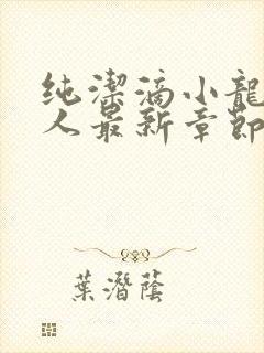 纯洁滴小龙捞尸人最新章节更新