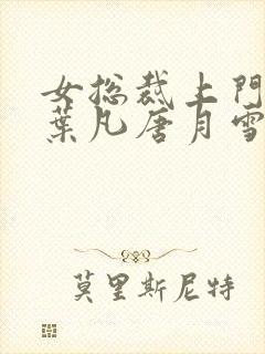 女总裁上门女婿叶凡唐月雪免费阅读全文