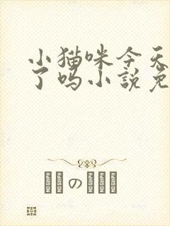 小猫咪今天捣乱了吗小说免费阅读