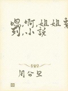 嗯,啊,姐姐系列,小说