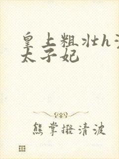 皇上粗壮h灌满太子妃封面