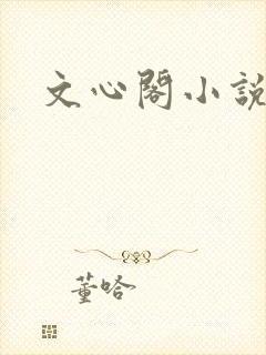 文心阁小说