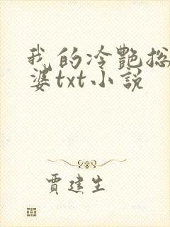 我的冷艳总裁老婆txt小说