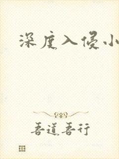 深度入侵小说