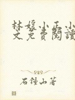 林媛小正小说全文免费阅读封面