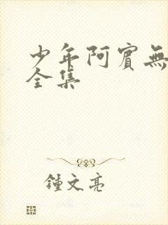 少年阿宾无删减全集封面