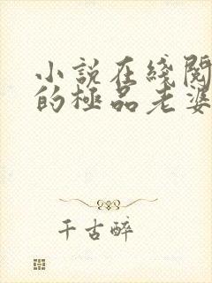 小说在线阅读我的极品老婆
