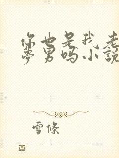 你也是我老婆的梦男吗小说