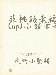 苏桃的幸福生活(np)小说笔趣阁沐沐