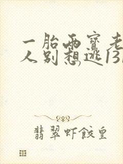 一胎两宝老婆大人别想逃1318章