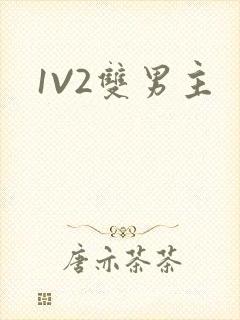 1V2双男主