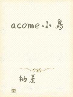 acome小鸟