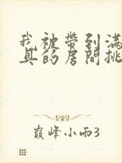 我被带到满是玩具的房间挑调作文