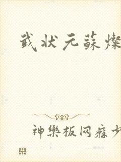 武状元苏灿
