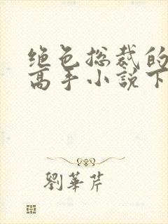 绝色总裁的超级高手小说下载
