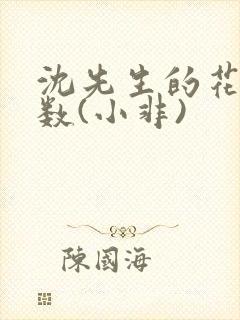 沈先生的花式调数(小非)