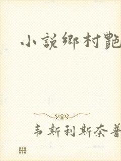 小说乡村艳妇封面