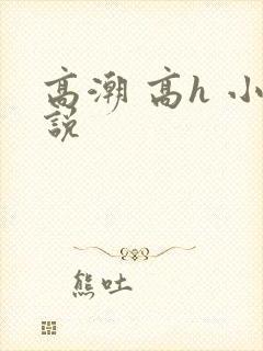 高潮 高h 小说