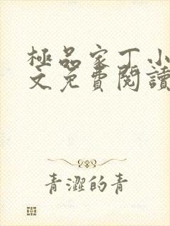 极品家丁小说全文免费阅读笔趣阁