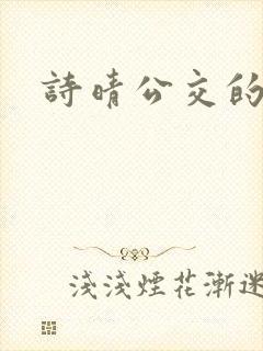 诗晴公交的小说