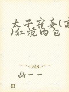 太子宠妾(高肉)红烧肉包封面