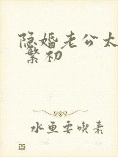 隐婚老公太神秘 繁初封面