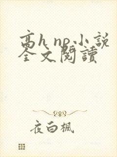 高h np小说全文阅读