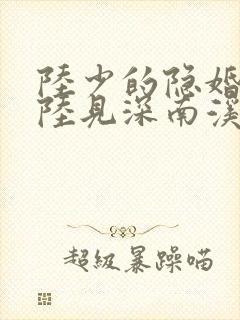 陆少的隐婚罪妻陆见深南溪