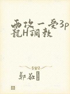 两攻一受3p双龙H调教