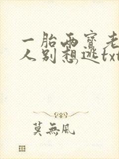 一胎两宝老婆大人别想逃txt封面