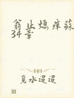 翁止熄痒苏钥第34章封面