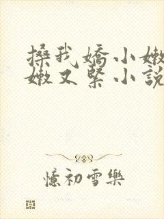 搡我娇小嫩苞又嫩又紧小说