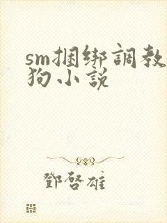 sm捆绑调教母狗小说