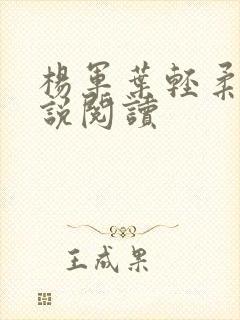 杨军叶轻柔的小说阅读