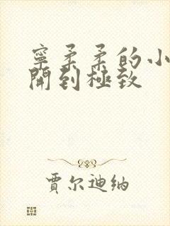 宁柔柔的小泬撑开到极致封面