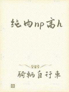 纯肉np高h