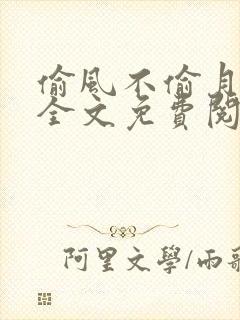 偷风不偷月小说全文免费阅读