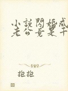 小说闪婚成宠,老公竟是千亿大佬