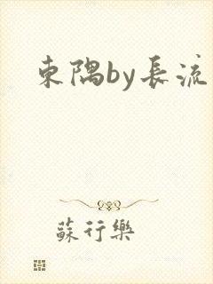 东隅by长流流封面