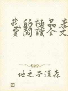 我的极品老婆免费阅读全文