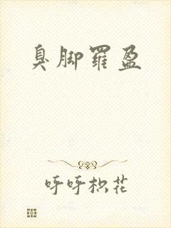 臭脚罗盈封面