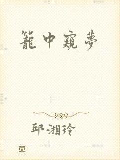 笼中窥梦