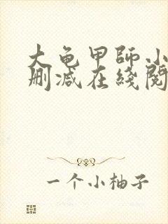 大龟甲师小说无删减在线阅读
