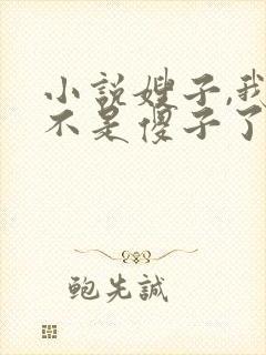 小说嫂子,我真不是傻子了免费阅读
